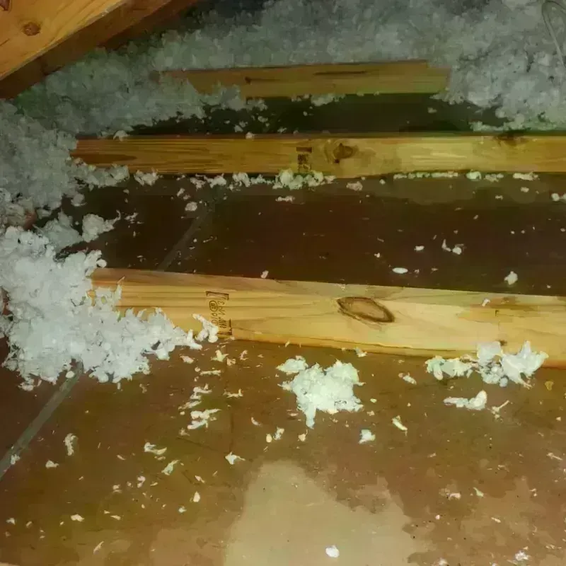 Attic Water Damage in Empire, CA