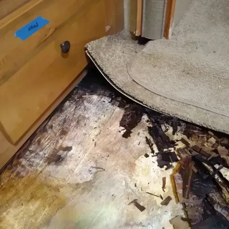 Wood Floor Water Damage in Empire, CA